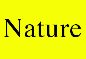 nature