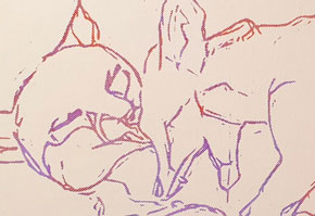 Lady
