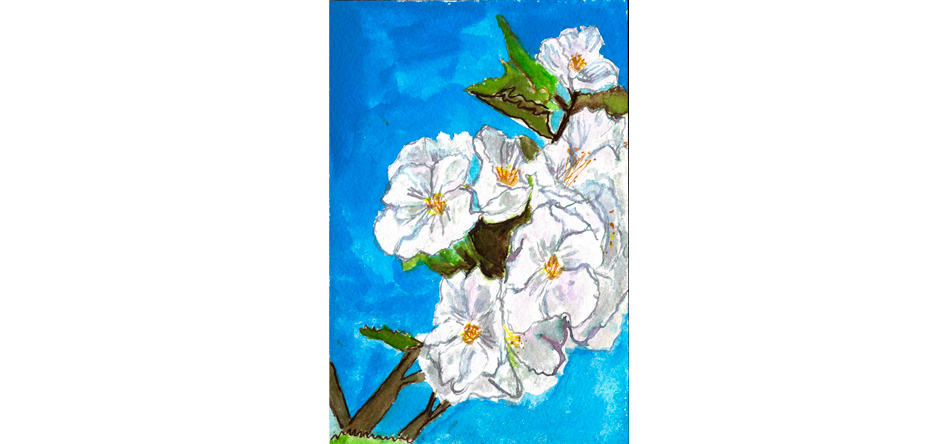 flower