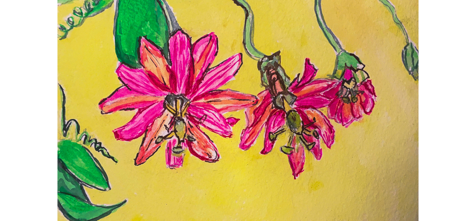 flower